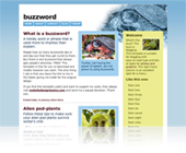 buzzword template